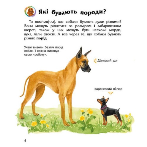 «Енциклопедія дошкільника. Собаки» на 32 сторінки з м`якою обкладинкою 24х20 см, ТМ Ранок