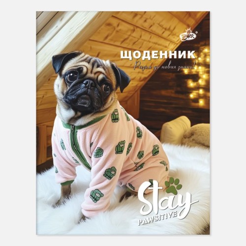 Щоденник А5 на 42 аркуші на скобі з м'якою обкладинкою, в асортименті, ТМ Brisk