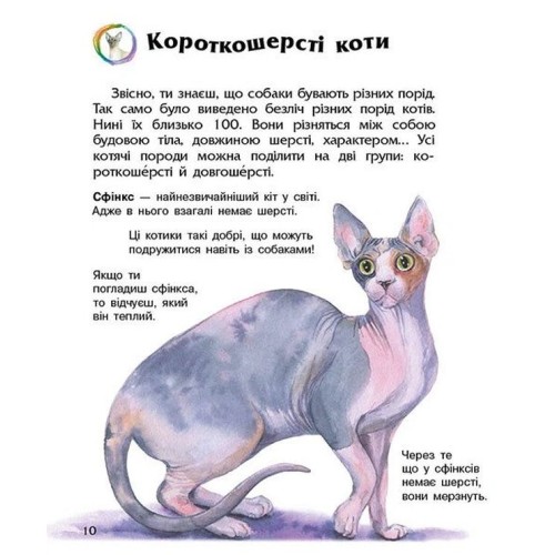 «Енциклопедія дошкільника. Коти» на 32 сторінки з м`якою обкладинкою 24х20 см, ТМ Ранок
