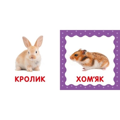 «Перша книжка малюка. Свійські тварини» на 12 сторінок з твердою обкладинкою 11х11 см, ТМ Ранок