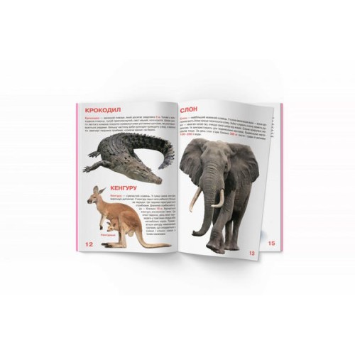 «Велика книжка. Дикі тварини» м'яка обкладинка, 16 сторінок, 24х33 см, ТМ Кристал Бук