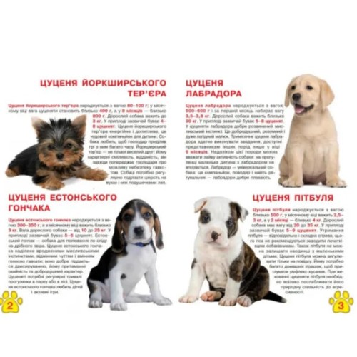 «Велика книга. Цуценя» на 16 сторінок з м'якою обкладинкою 24х33 см, ТМ Кристал Бук