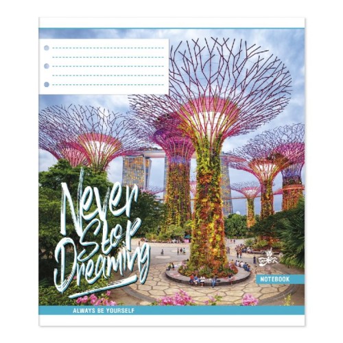 Зошит на 48 аркушів у клітинку №2209 «Нейтральний Мікс №1», ТМ Brisk