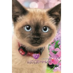 Щоденник шкільний «Котик» 16,5х24 см на 40 аркушів з матовою ламінацією, ТМ Мандарин