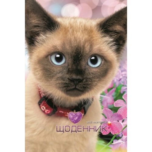 Щоденник шкільний «Котик» 16,5х24 см на 40 аркушів з матовою ламінацією, ТМ Мандарин