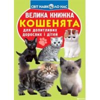 «Велика книжка. Кошенята» на 16 сторінок з м'якою обкладинкою 21х29 см, ТМ Кристал Бук