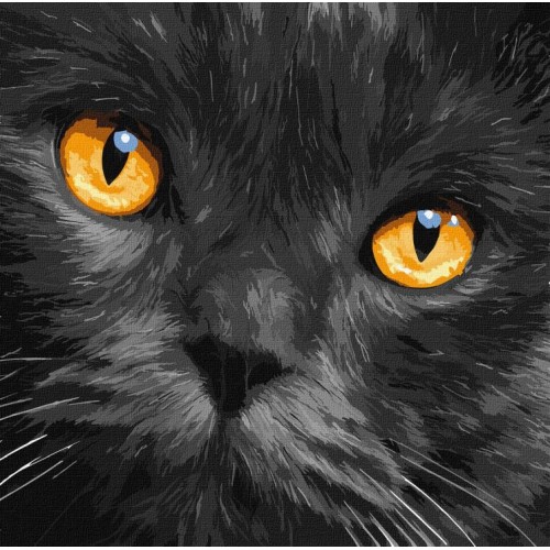 Набір для розпису по номерах «Бурштинові очі», 40х40 см