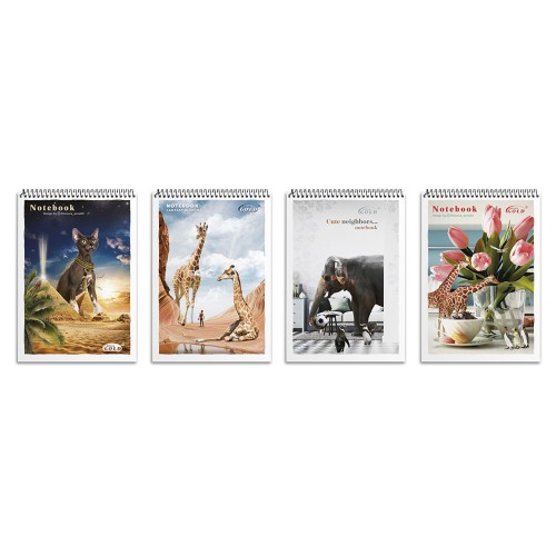 Блокнот, А6, 80 аркушів, клітинка, спіраль зверху, картонна обкладинка, № 6772, ТМ Brisk