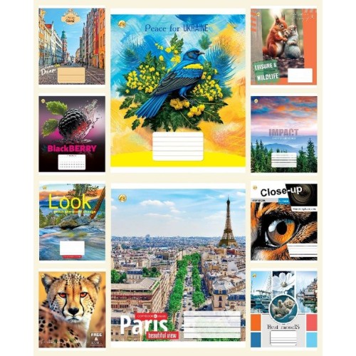 Зошит на 60 аркушів у клітинку «Мікс 1», ТМ Тетрада