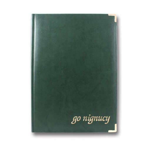 Папка Infolk «До підпису» A4 зелена, TM Brisk