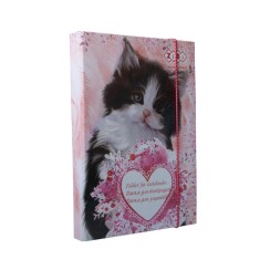 Папка для зошитів «CUTE» В5+ картонна на гумках, TM ZiBi