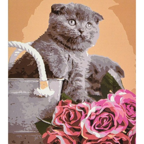 Картина за номерами «Сірий пухнастик серед квітів» 40х50 см, ТМ Strateg