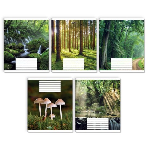 Зошит на 24 аркуші у клітинку «Зачарований ліс», №3524, ТМ Gold Brisk