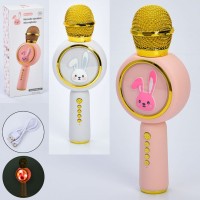 Мікрофон 23 см на акумуляторі з USB та світлом, в асортименті, у коробці 9,5х5,5х24 см