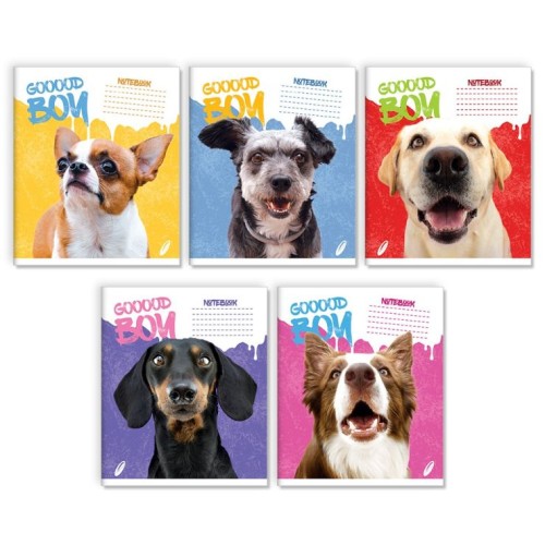 Зошит на 24 аркуші у лінію «Гарний хлопчик», № 0158, Пір'їнка