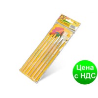 Набір пензликів з 6 шт поні+щетина, ТМ Пегашка