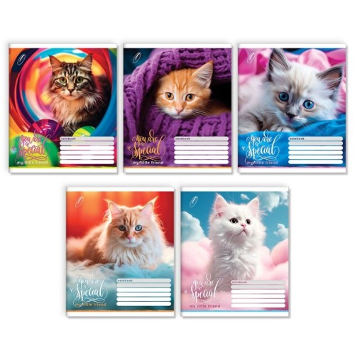 Зошит на 24 аркуші у клітинку «Ти особливий», № 0039, Пір'їнка