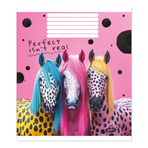 Зошит на 48 аркушів у клітинку «Барвисті образи» №2602, ТМ Brisk