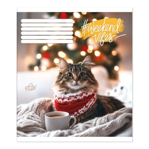 Зошит на 60 аркушів у клітинку «Муркотливий комфорт», №2621, ТМ Brisk