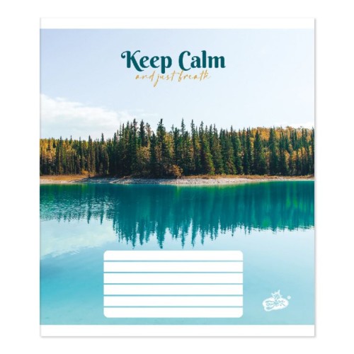 Зошит на 60 аркушів у клітинку «Спокій», №2623, ТМ Brisk