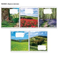 Зошит на 24 аркуші у клітинку «Краса природи» №2525, ТМ Brisk