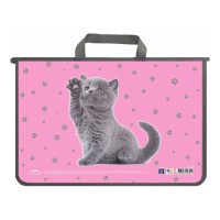 Папка-портфель А4 пластиковий на блискавці, ТМ MAXI