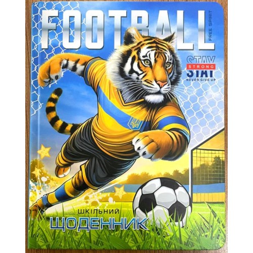 Щоденник шкільний 16,5х21 см на 40 аркушів з картонною обкладинкою, ТМ Мандарин