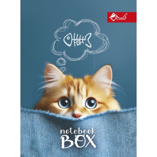 Папка для зошитів «Котяча мрія» В5 картонна на гумці, ТМ Скат