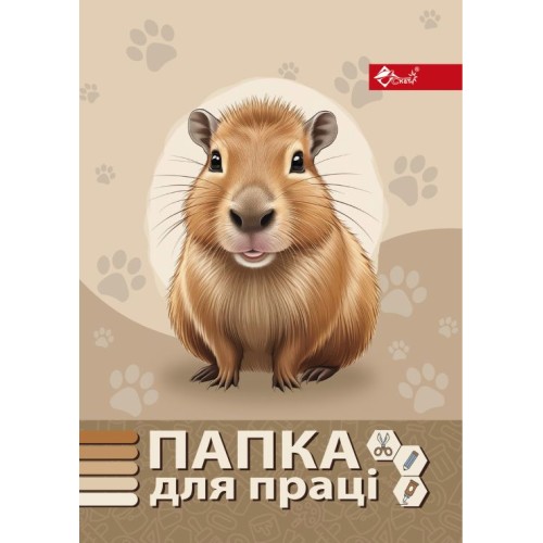 Папка для праці «Капібара» А4 на гумках повноформатна, ТМ Скат