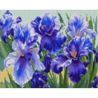 Набір з алмазною мозаїкою «Блакитні іриси» 40х50 см, ТМ SANTI