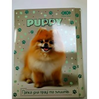 Папка для праці «DOG» А4 картонна на гумках, KIDS Line
