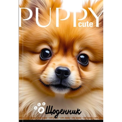 Щоденник шкільний 16,5х24 см на 40 аркушів з матовою ламінацією, ТМ Мандарин