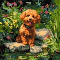Картина за номерами «Пудель на ставку» 40х40 см, ТМ Ідейка