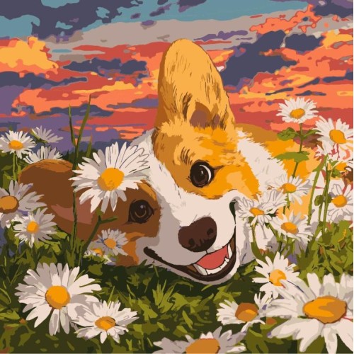 Картина за номерами «Коргі у ромашках» 40х40 см, ТМ Ідейка