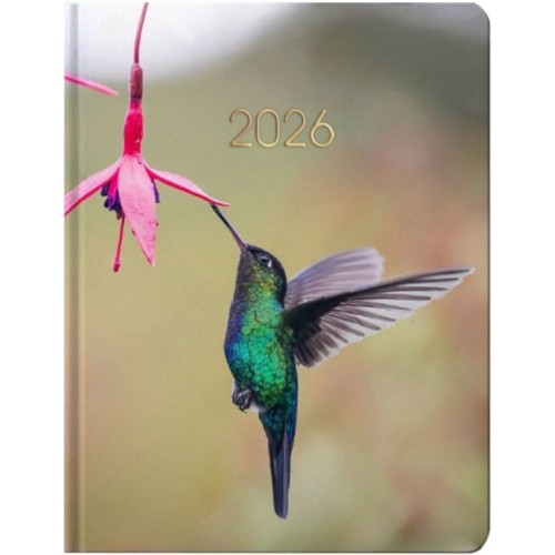 Щоденник датований «Колібрі» А5 на 336 сторінок з картонною обкладинкою, ТМ Economix