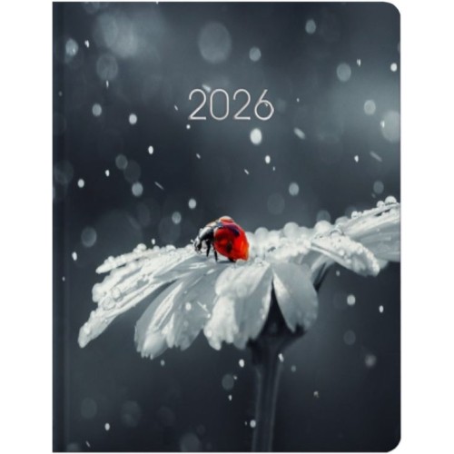 Щоденник датований «Сонечко» А5 на 336 сторінок з картонною обкладинкою, ТМ Economix