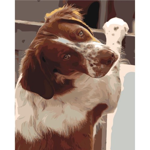 Картина за номерами «Відданий погляд» 40х50 см, ТМ Strateg