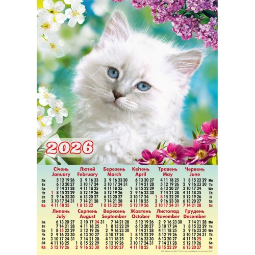 Календар «Кошеня» А2