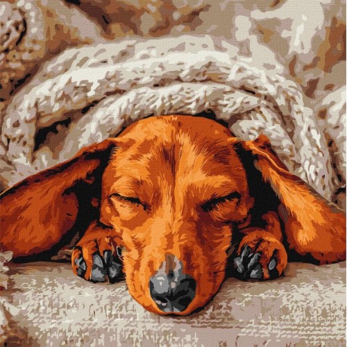 Картина за номерами «Солодкий спокій» 40х40 см, ТМ Ідейка