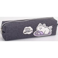 Пенал 21х4,5х6 см сірий, ТМ Мандарин