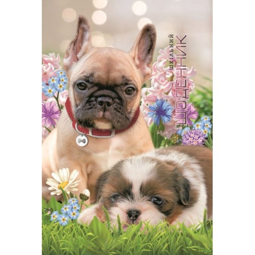 Щоденник шкільний «Песики» 16,5х24 см на 40 аркушів з матовою ламінацією, ТМ Мандарин