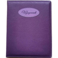 Щоденник шкільний А5 на 48 аркушів з обкладинкою зі шкірзаму, фіолетовий, ТМ Мандарин