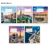 Зошит на 48 аркушів у клітинку «Місто», №1015, Пір'їнка