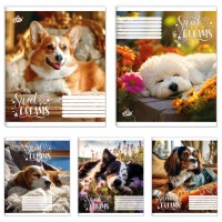 Зошит на 24 аркуші у клітинку «Лапи в тиші» №2664, ТМ Brisk