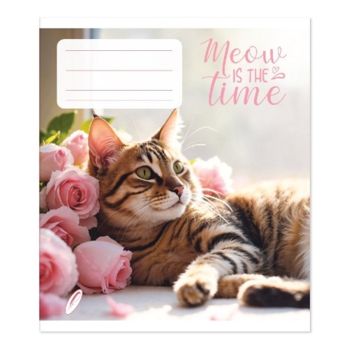 Зошит на 36 аркушів у клітинку «Котики» №0359, Пір'їнка