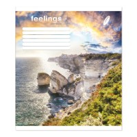 Зошит на 60 аркушів у клітинку «Мільйон почуттів», №0360, Пір`їнка