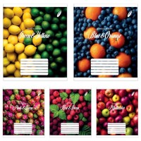 Зошит на 96 аркушів у клітинку «Садові кольори», №1022, Пір'їнка