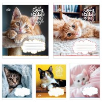 Зошит на 12 аркушів у клітинку «Котодрузі» №2709, ТМ Brisk