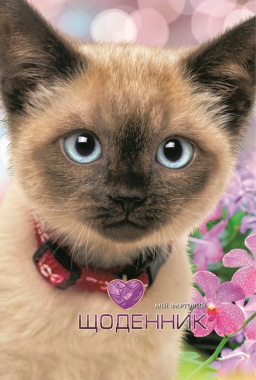 Щоденник шкільний 16,5х24 см на 40 аркушів з матовою ламінацією, ТМ Мандарин