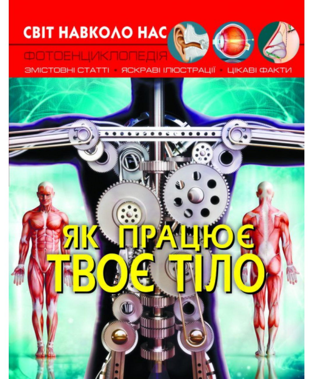 «Світ навколо нас. Як працює твоє тіло» на 48 аркушів з твердою обкладинкою 20,5х26 см, ТМ Кристал Бук